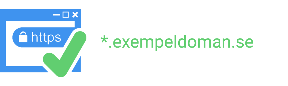 SSL-certifkat med Wildcard, Wildcard Certificate
